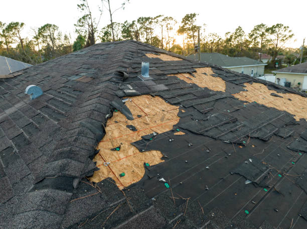 Best Green or Eco-Friendly Roofing Solutions  in Acres Green, CO